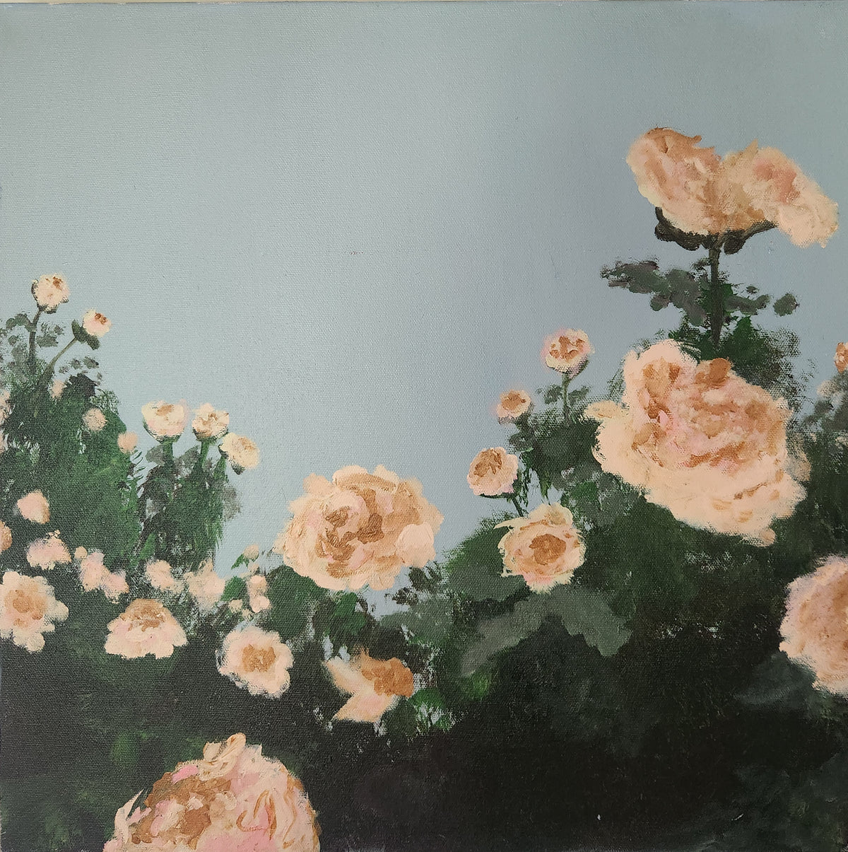 Roses - Original 20x20 inch Painting by Holly Soule
